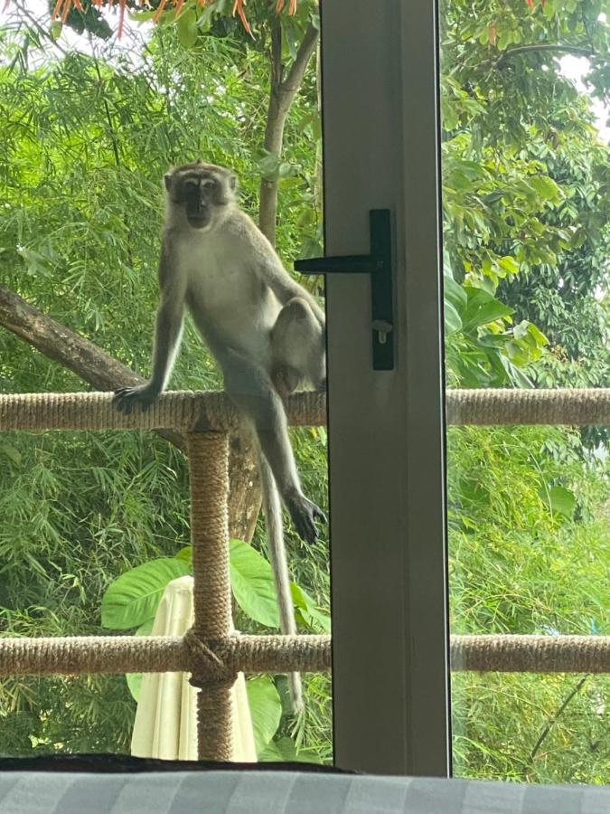 Myrus Resort Langkawi ปันไตเจอนัง ภายนอก รูปภาพ